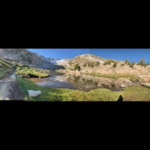 Meet your Posher, Tara